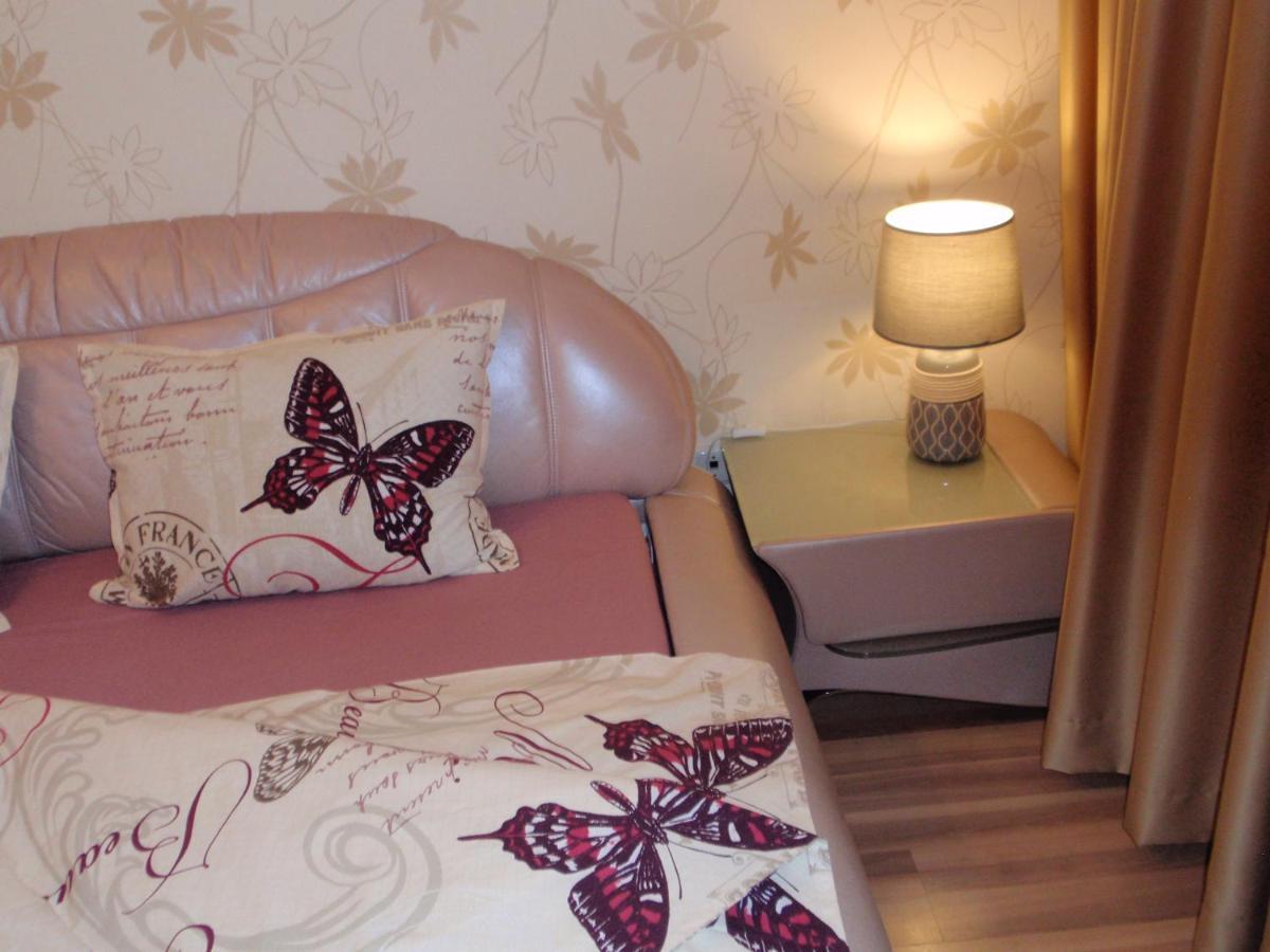 Central Cietoksna Street Apartment داوُجافبيلسْ المظهر الخارجي الصورة