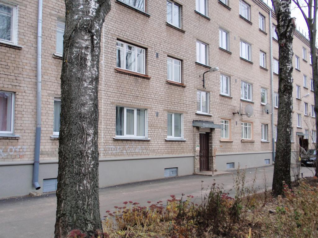 Central Cietoksna Street Apartment داوُجافبيلسْ المظهر الخارجي الصورة